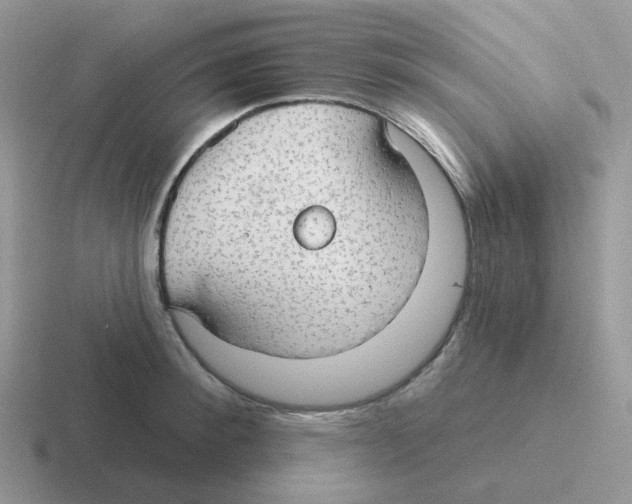 X0000116550900201001071113