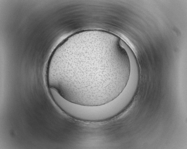 X0000116550901201001071113