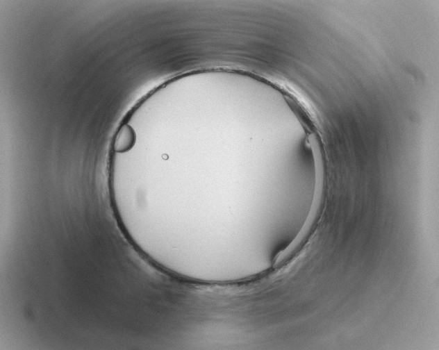 X0000116550902201001071113