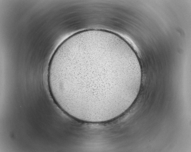 X0000116550903201001071113