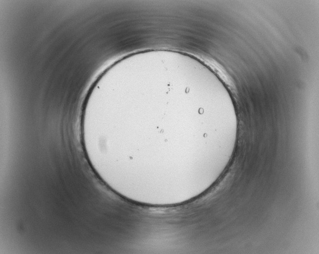 X0000116550904201001071113