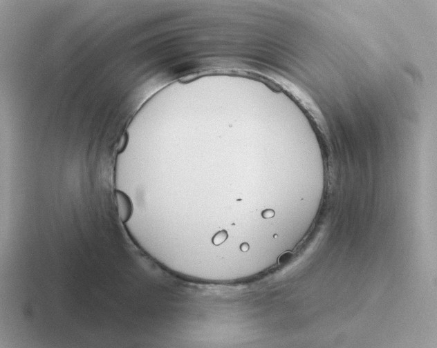 X0000116550905201001071113