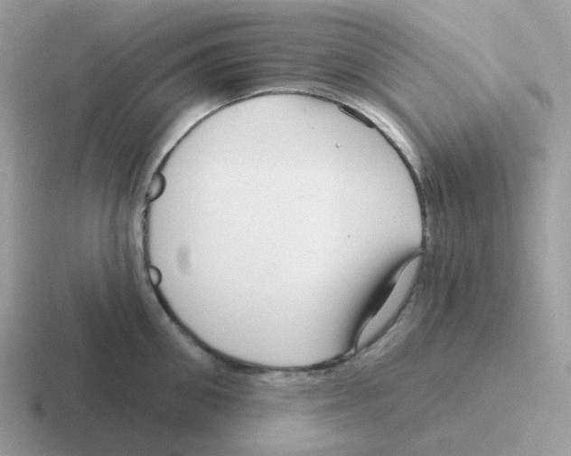 X0000116550906201001071113