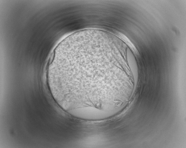 X0000116550908201001071113