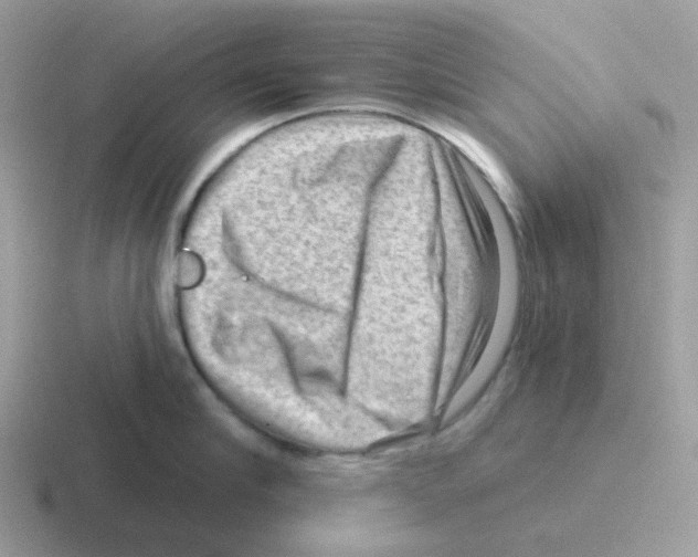 X0000116550910201001071113