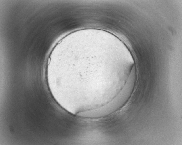 X0000116550912201001071113