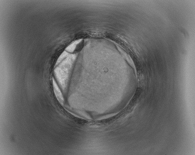 X0000116550913201001071113