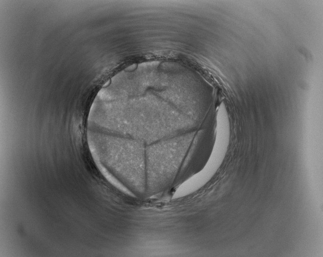 X0000116550915201001071113