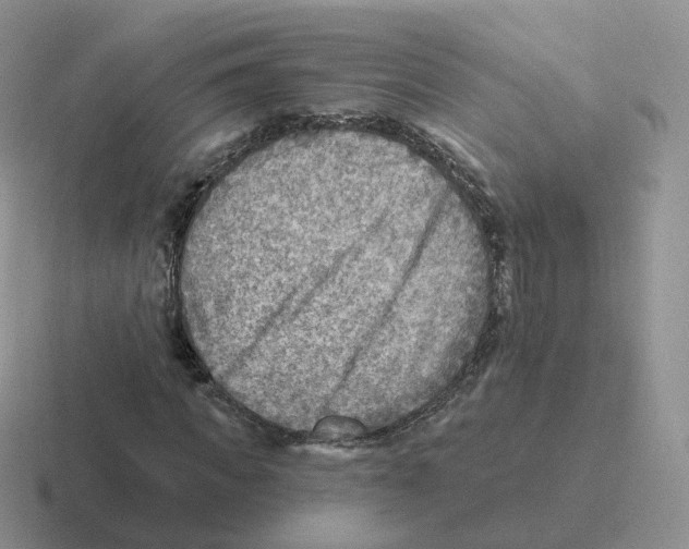 X0000116550917201001071113