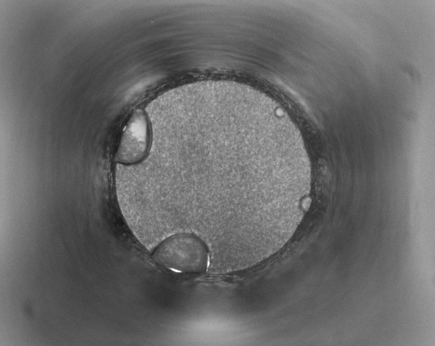 X0000116550918201001071113