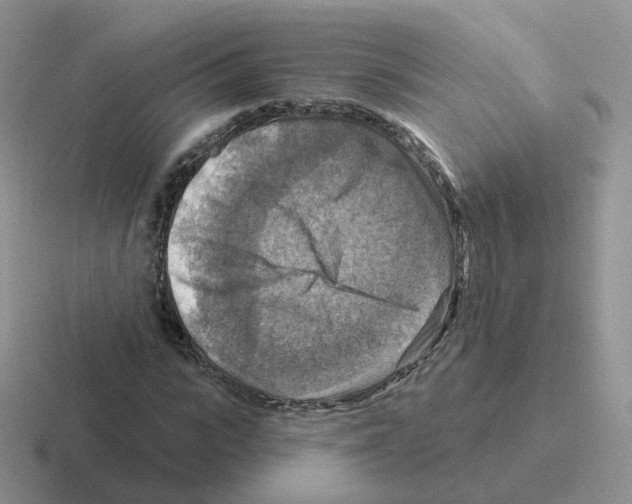 X0000116550919201001071113