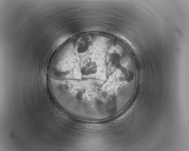 X0000116550921201001071113