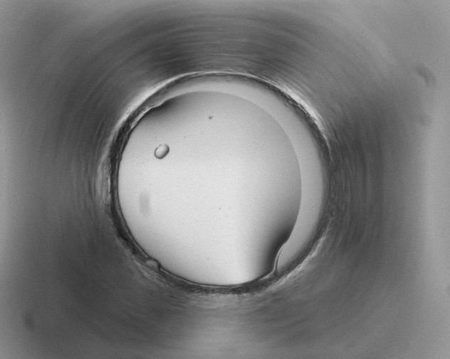 X0000116550925201001071113