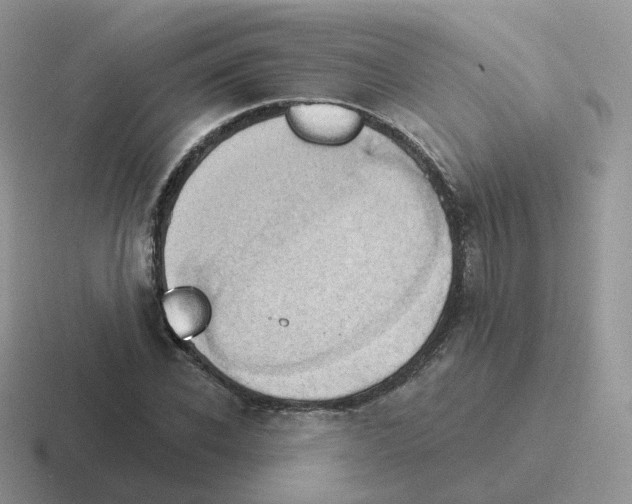 X0000116550926201001071113