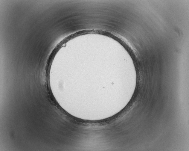 X0000116550927201001071113