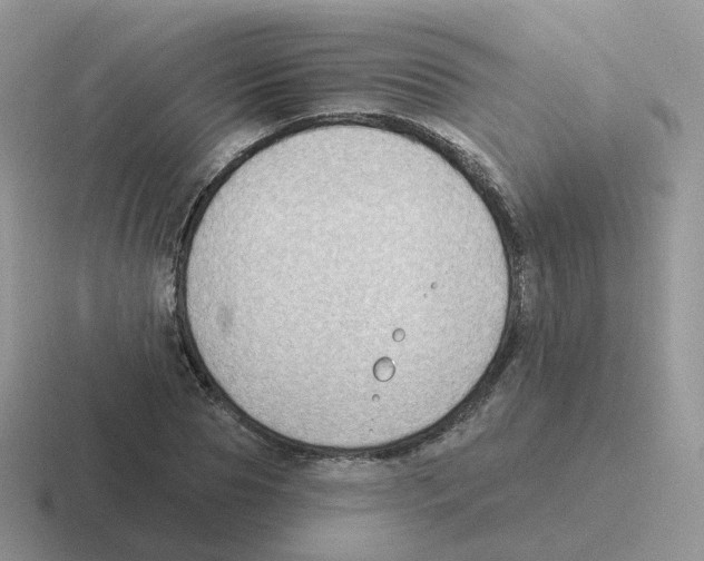 X0000116550929201001071113