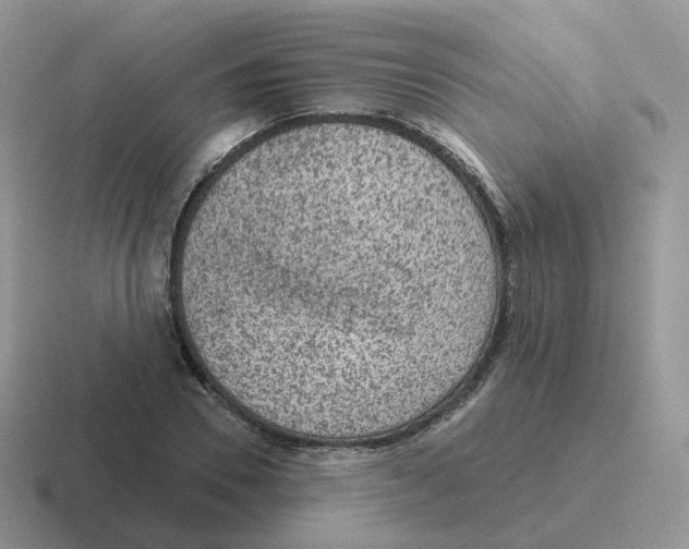 X0000116550930201001071113