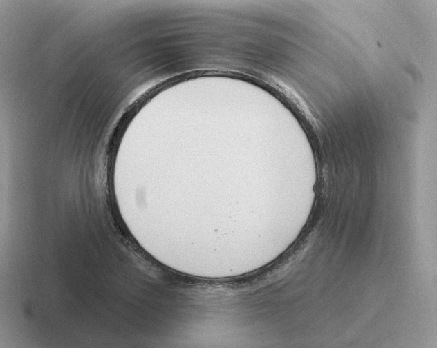 X0000116550931201001071113