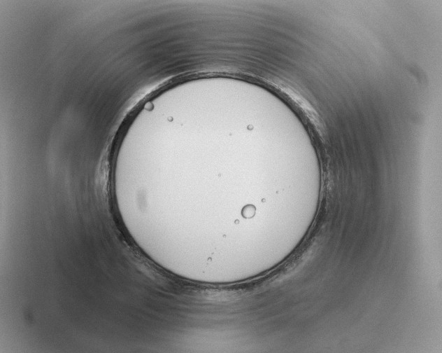 X0000116550933201001071113