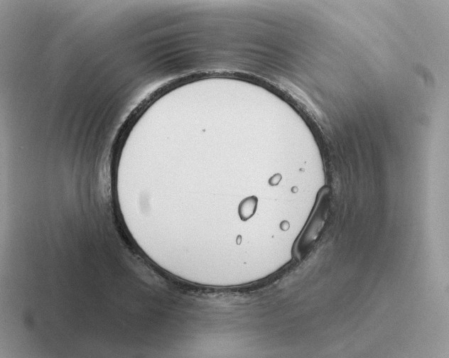 X0000116550934201001071113