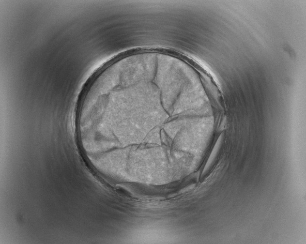 X0000116550935201001071113