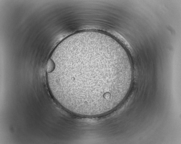 X0000116550937201001071113