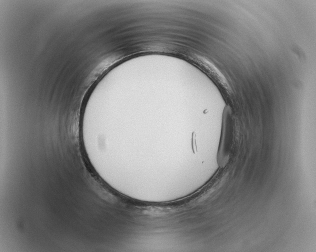 X0000116550938201001071113