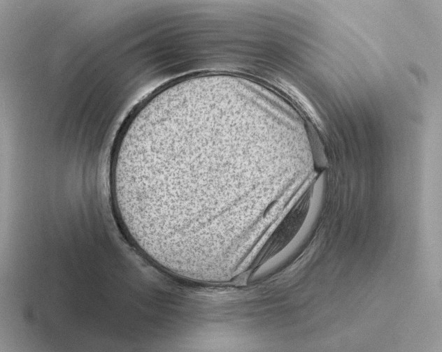 X0000116550939201001071113