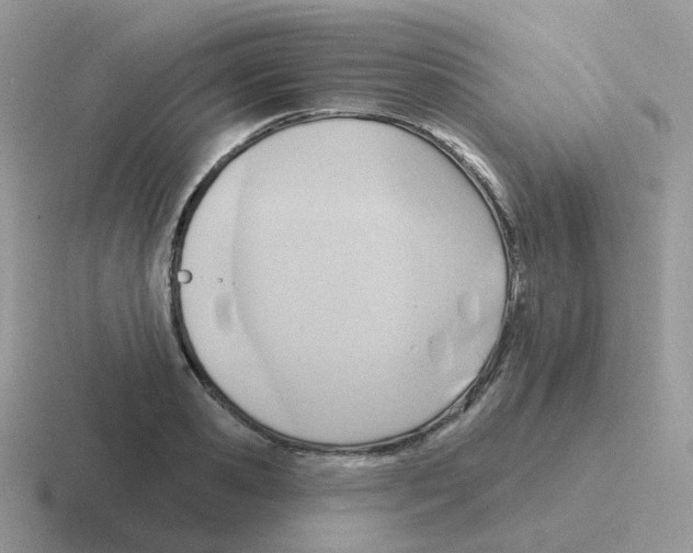 X0000116550941201001071113