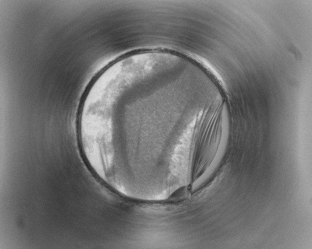 X0000116550943201001071113