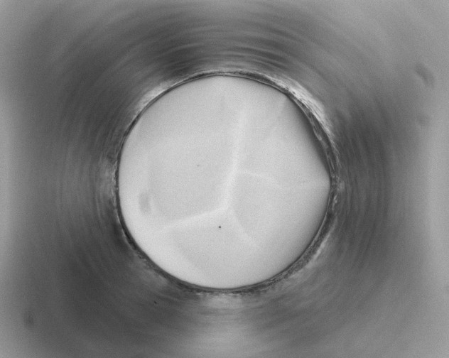 X0000116550945201001071113