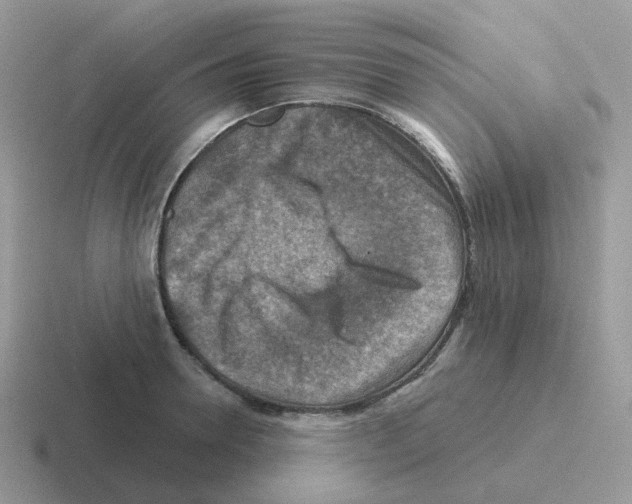 X0000116550946201001071113