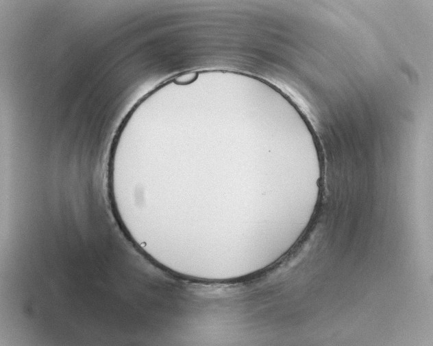 X0000116550949201001071113