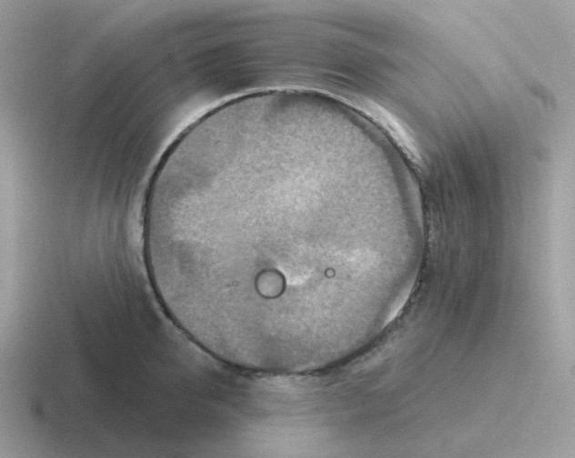 X0000116550950201001071113