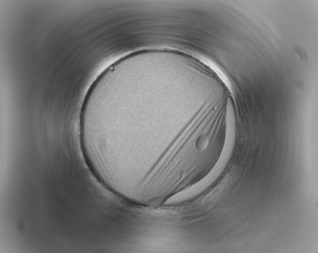 X0000116550951201001071113