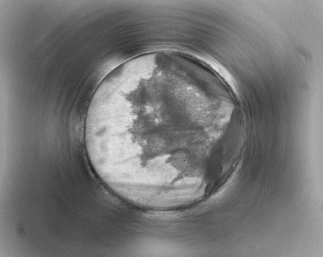 X0000116550953201001071113