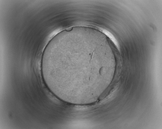 X0000116550954201001071113