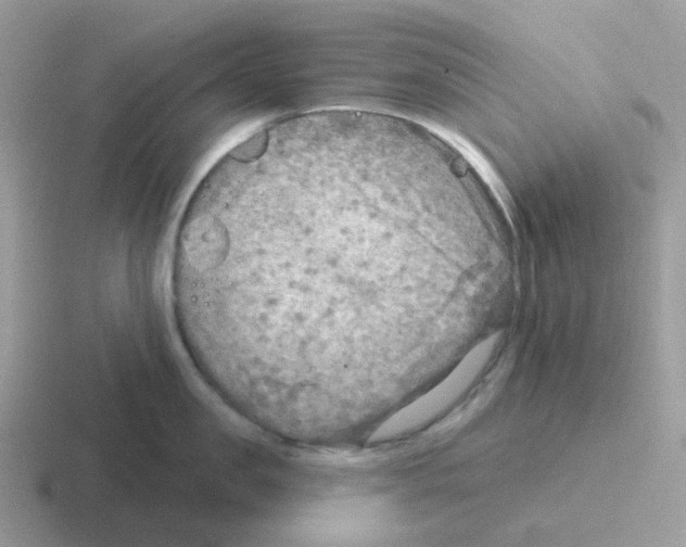 X0000116550957201001071113