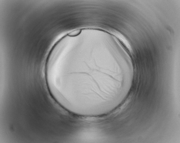 X0000116550958201001071113