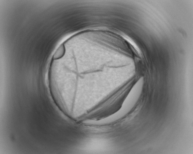 X0000116550959201001071113