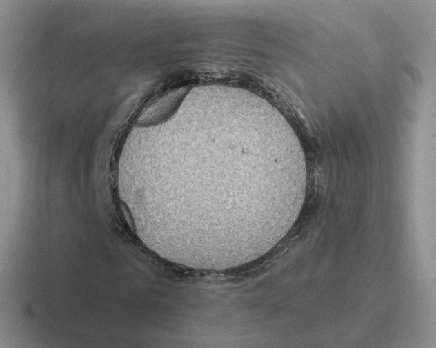 X0000116550961201001071113