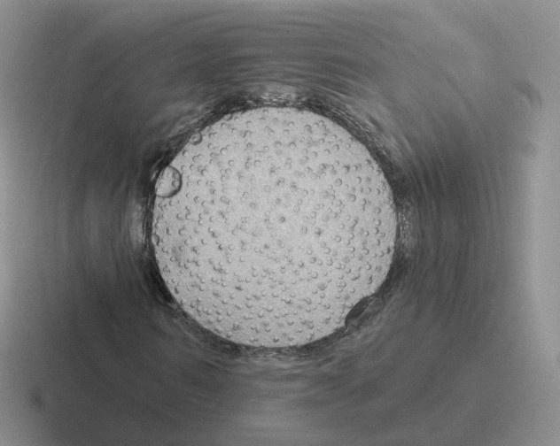 X0000116550962201001071113