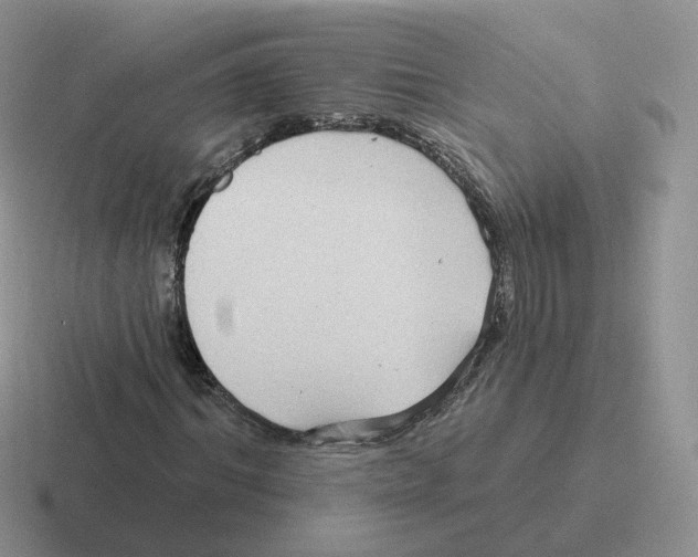 X0000116550964201001071113