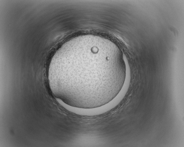 X0000116550965201001071113