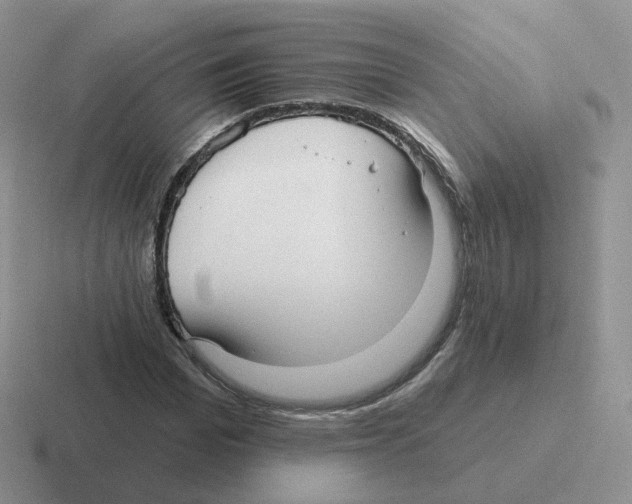 X0000116550969201001071112