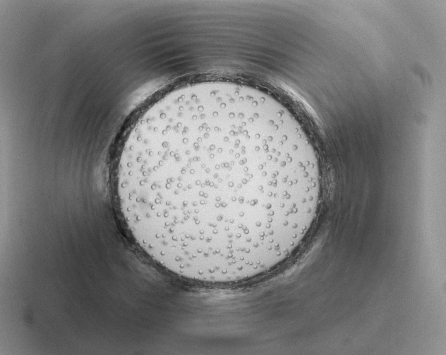 X0000116550970201001071112