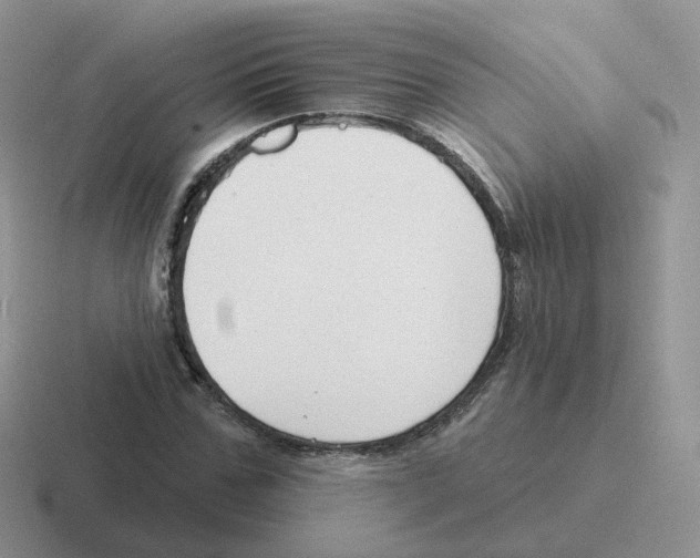 X0000116550971201001071112