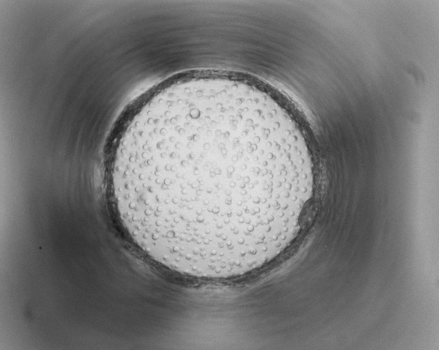 X0000116550974201001071112