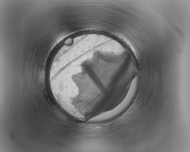 X0000116550975201001071112