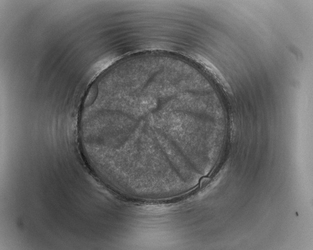 X0000116550977201001071112